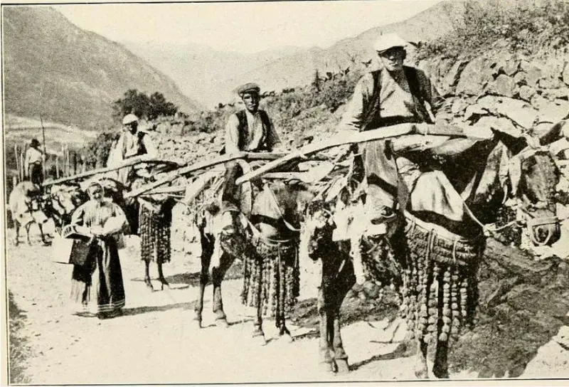 Travels in the Pyrenees 